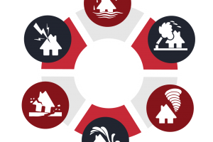 Disaster Risk Management: Survival Guide for Businesses